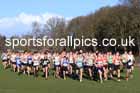 Junior Womens 2025 Northern Cross Country Champs, Tatton Park, Knutsford, Cheshire. Photo: David T. Hewitson/Sports for All Pics
